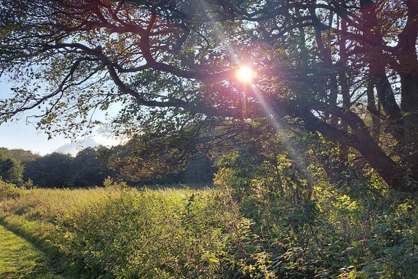 Foto van Vreedzame hut in Ebeltoft - Vakantiehuis in Ebeltoft - Untagged