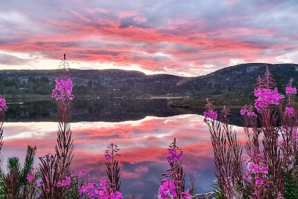 Foto van 10 persoons vakantie huis in ÅSERAL - Vakantiehuis in Åseral - Outdoor