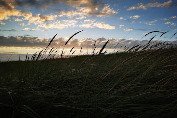 Foto van Luxe zwembadresort in Blavand - Vakantiehuis in Blåvand - Untagged
