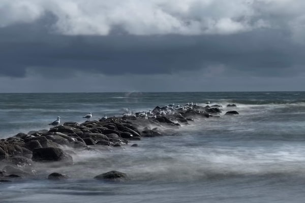 Foto van Luxe zwembadresort in Blavand - Vakantiehuis in Blåvand - WaterView