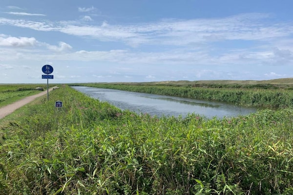 Foto van 4 sterren vakantie huis in Thyborøn - Vakantiehuis in Thyborøn - Outdoor
