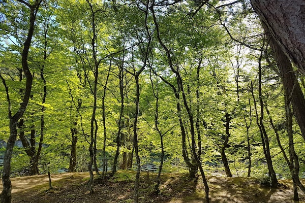Foto van 10 persoons vakantie huis in Ålbæk-By Traum - Vakantiehuis in Ålbæk - Outdoor