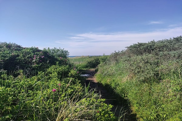 Foto van 10 persoons vakantie huis in Ålbæk-By Traum - Vakantiehuis in Ålbæk - WaterView