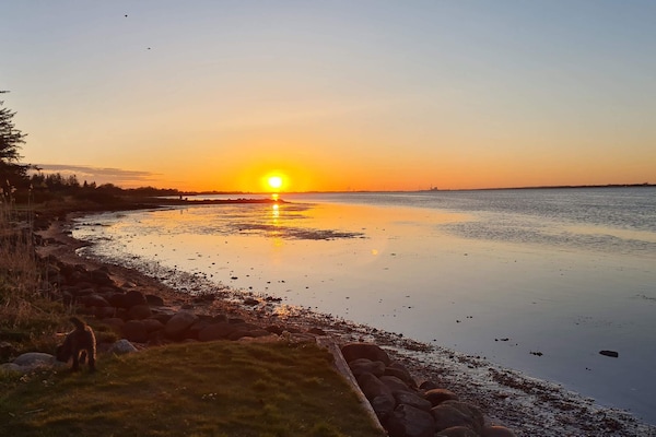 Foto van 10 persoons vakantie huis in Storvorde-By Traum - Vakantiehuis in Storvorde - WaterView