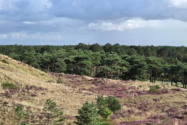 Foto van Luxe toevluchtsoord met zwembad in Blavand - Vakantiehuis in Blåvand - Untagged