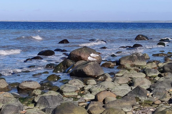 Foto van Luxe verblijf in Hornbæk - Vakantiehuis in Hornbæk - WaterView