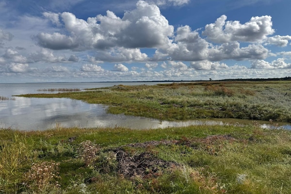 Foto van Rustige oase met zwembad - Vakantiehuis in Ørsted - WaterView