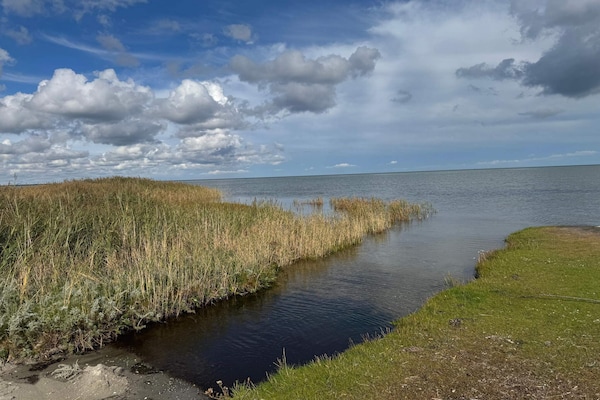 Foto van Rustige oase met zwembad - Vakantiehuis in Ørsted - WaterView