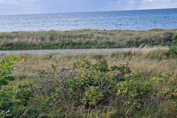 Foto van Luxe vakantieverblijf met zwembad - Vakantiehuis in Glesborg - Untagged