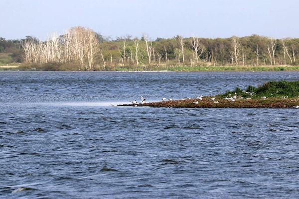 Foto van Luxe retraite met zwembad -- By Traum Ferienwohnungen - WaterView