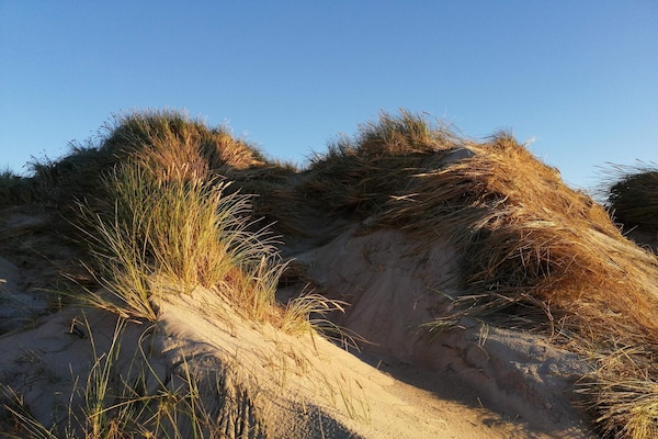 Foto van Rolstoeltoegankelijk huisje met zwembad - Vakantiehuis in Ringkøbing - Untagged