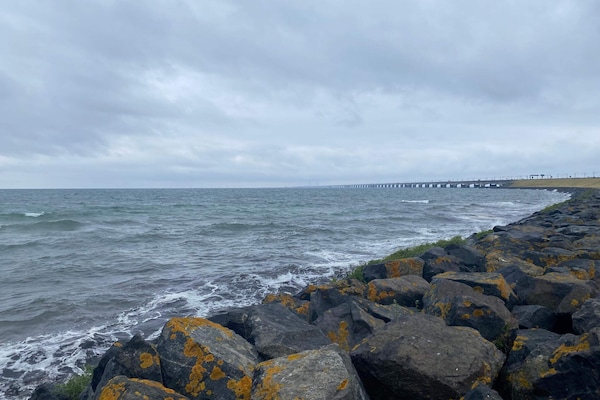 Foto van Rolstoeltoegankelijk huisje met zwembad - Vakantiehuis in Ringkøbing - WaterView