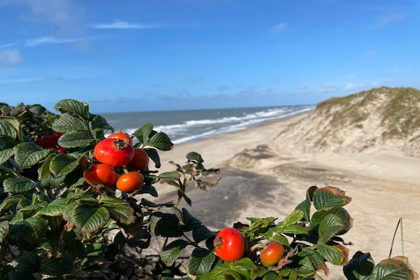 Foto van Rolstoeltoegankelijk huisje met zwembad - Vakantiehuis in Ringkøbing - WaterView