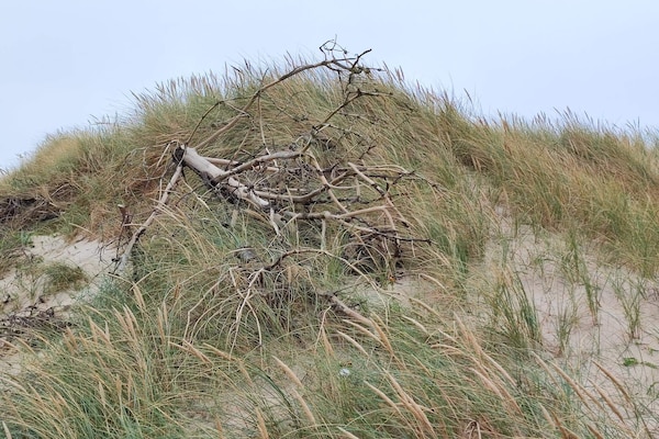 Foto van Gezellig gerenoveerd huisje -- By Traum Ferienwohnungen - Untagged