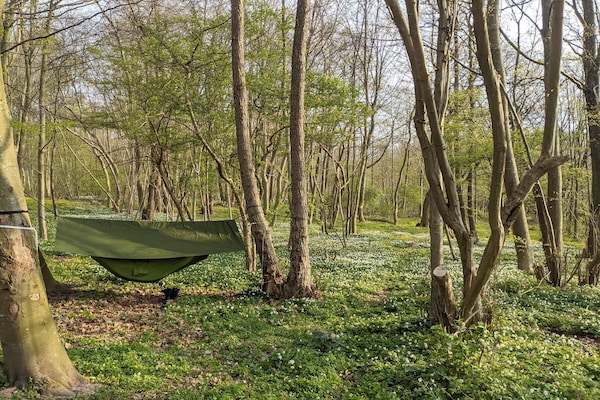 Foto van Luxe vakantieverblijf aan zee - Vakantiehuis in Faaborg - Untagged