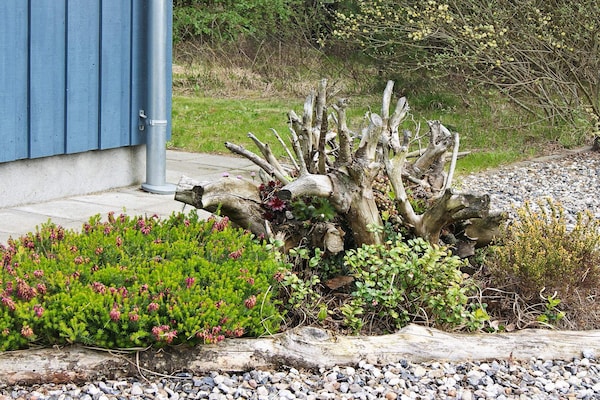 Foto van 10 persoons vakantie huis in Fjerritslev-By Traum - Vakantiehuis in Fjerritslev - View