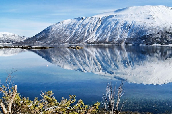 Foto van 11 persoons vakantie huis in Gullesfjord - Vakantiehuis in Gullesfjord - WaterView