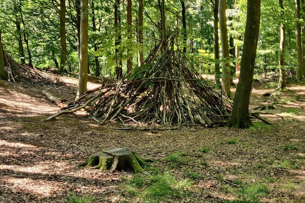 Foto van Luxe retraite met zwembad - Vakantiehuis in Oksbøl - Untagged