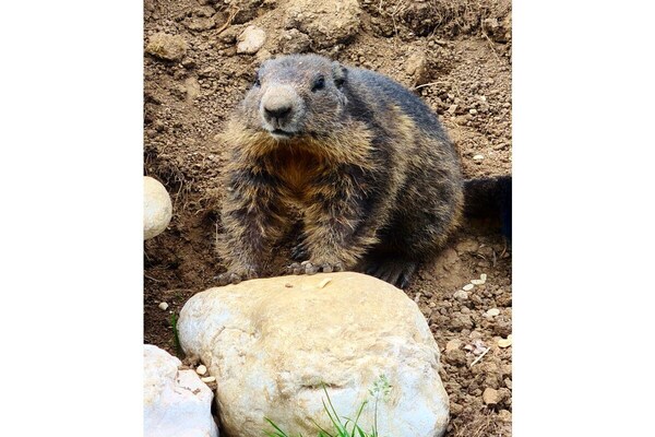 Foto van Simone op de Primusbergerhof - Vakantiehuis in Bad Goisern - Untagged