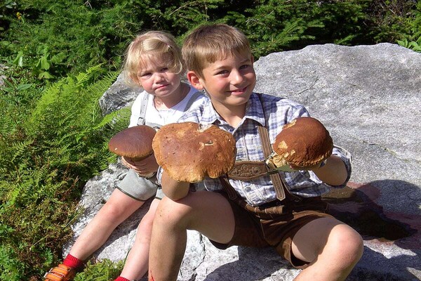 Foto van 1 op de Pfaffenreitherhof - Vakantiehuis in Uttendorf - Untagged