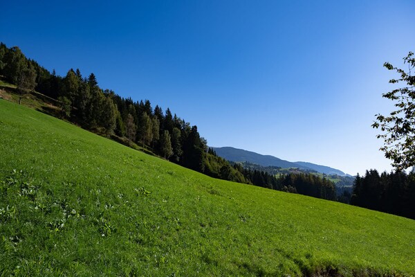 Foto van Appartement in Hollersbach bij Skiliften - Vakantiehuis in Hollersbach im Pinzgau - ViewSummer
