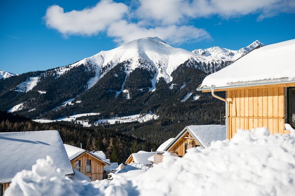 Foto van Premium chalet met terras - Vakantiehuis in Hohentauern - ExteriorWinter