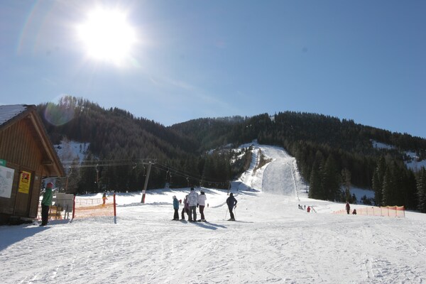 Foto van Premium chalet met terras - Vakantiehuis in Hohentauern - AreaWinter1KM