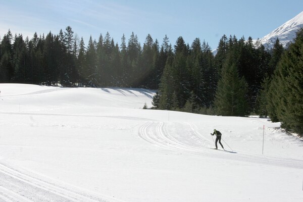 Foto van Premium chalet met terras - Vakantiehuis in Hohentauern - AreaWinter5KM