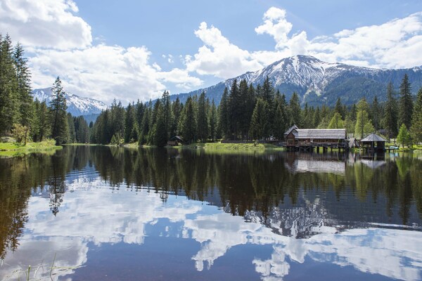 Foto van Premium chalet met terras - Vakantiehuis in Hohentauern - AreaSummer5KM