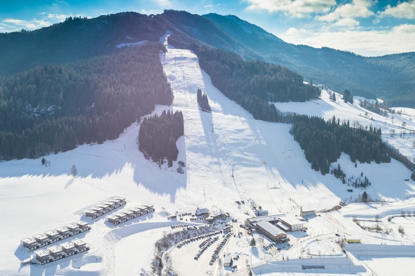 Foto van Sfeervol chalet met sauna - Vakantiehuis in St. Lambrecht - AreaWinter1KM