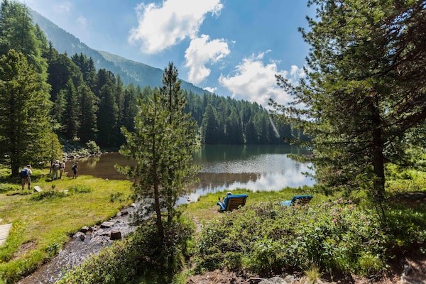 Foto van Premium chalet met infraroodsauna - Vakantiehuis in Turracherhöhe - AreaSummer5KM