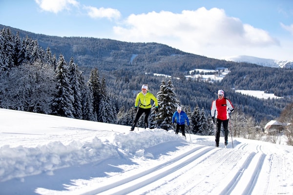 Foto van Appartement in Alpen bij Skipistes - Vakantiehuis in Turracherhöhe - AreaWinter20KM