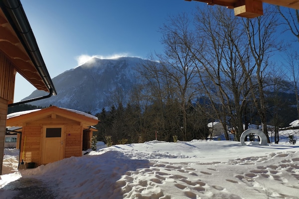 Foto van Premium chalet in Tauplitz met sauna en zwembad - Vakantiehuis in Bad Mitterndorf - ExteriorWinter