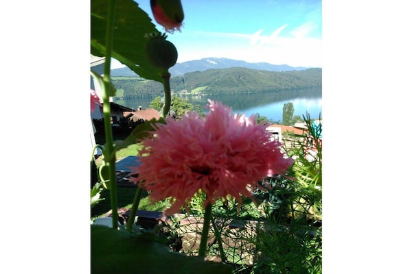 Foto van 2 in het huis Sonnleit'n - Vakantiehuis in Millstatt - Untagged