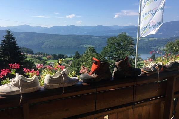 Foto van Rehsprung in het Fernblick-huis - Vakantiehuis in Millstatt - Untagged