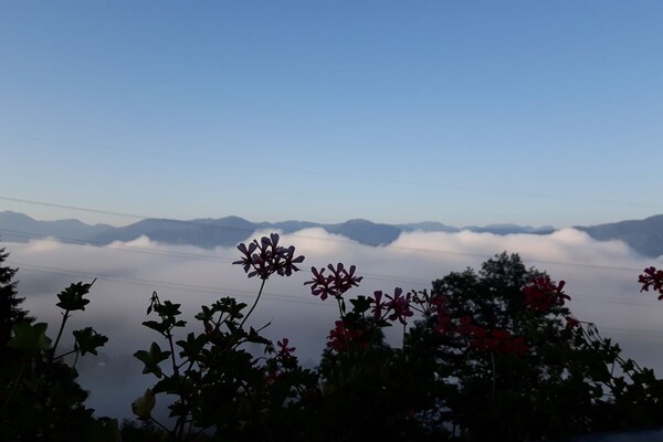 Foto van Rehsprung in het Fernblick-huis - Vakantiehuis in Millstatt - Untagged