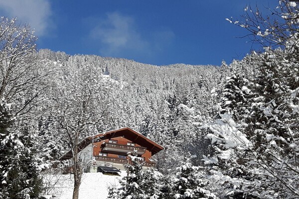 Foto van Rehsprung in het Fernblick-huis - Vakantiehuis in Millstatt - Untagged