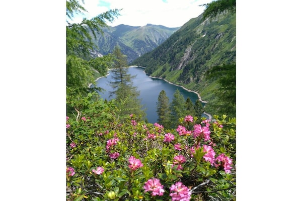 Foto van Recreatiehuis zelfs - Vakantiehuis in St. Veit\/Defereggental - Untagged