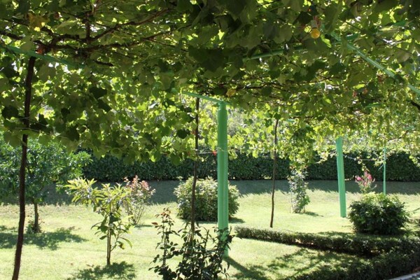 Foto van Quadruple room with Balcony - Vakantiehuis in Medugorje - Outdoor