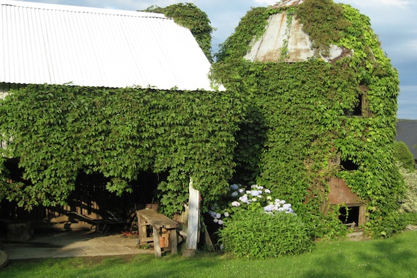 Foto van Bergretraite voor groepen - Vakantiehuis in Daverdisse - GardenSummer
