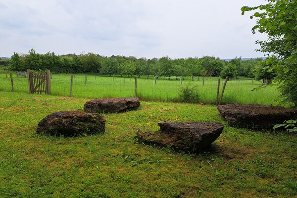 Foto van Vakantiehuis Viroinval voor zeven personen - Vakantiehuis in Viroinval - GardenSummer