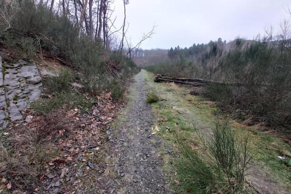 Foto van Bertrixmolen met sauna - Vakantiehuis in Bertrix - AreaSummer5KM