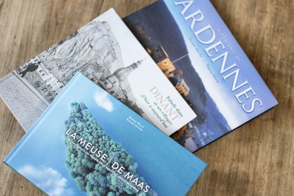 Foto van Vakantiehuis bij Knebelsrod Ederbergland - Vakantiehuis in Hastière par Dela - Ambiance