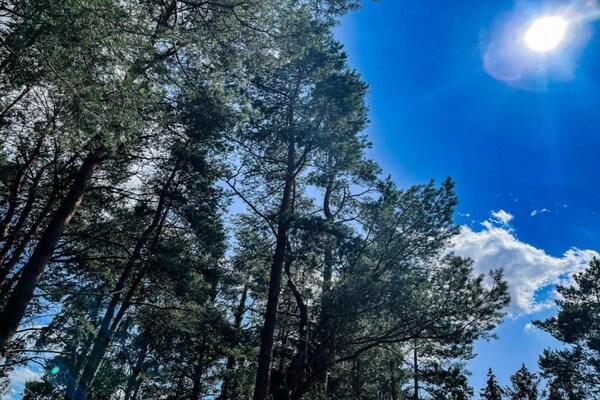 Foto van Vakantiehuis bij Knebelsrod Ederbergland - Vakantiehuis in Hastière par Dela - AreaSummer20KM