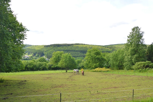 Foto van Rustig toevluchtsoord in de Ardennen - Vakantiehuis in Vencimont - AreaSummer1KM