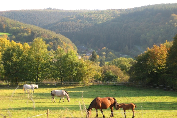 Foto van Rustig toevluchtsoord in de Ardennen - Vakantiehuis in Vencimont - AreaSummer5KM