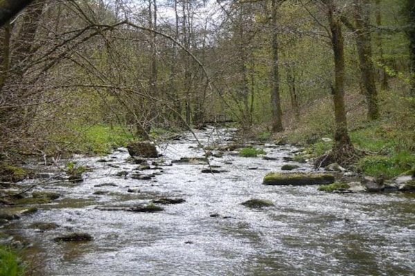 Foto van Rustig toevluchtsoord in de Ardennen - Vakantiehuis in Vencimont - AreaSummer20KM