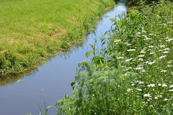 Foto van Rustig toevluchtsoord in de Ardennen - Vakantiehuis in Vencimont - AreaSummer20KM