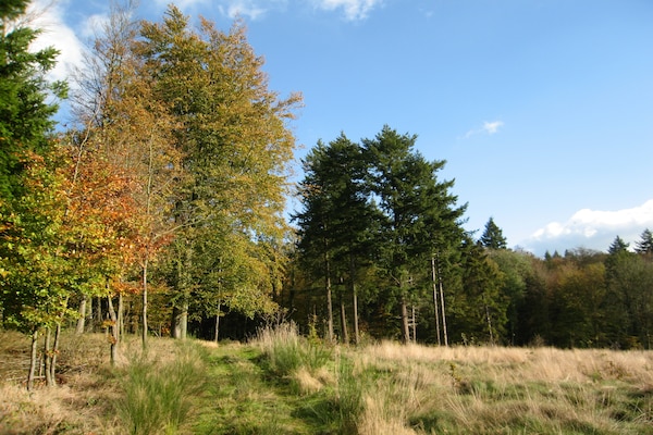 Foto van Vakantiehuis in La Roche met Sauna & Natuur - Vakantiehuis in La Roche - AreaSummer1KM