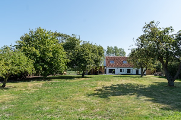 Foto van Villa in het witte dorp Lissewege ,op 2 km van Zeebrugge strand . - ExteriorSummer